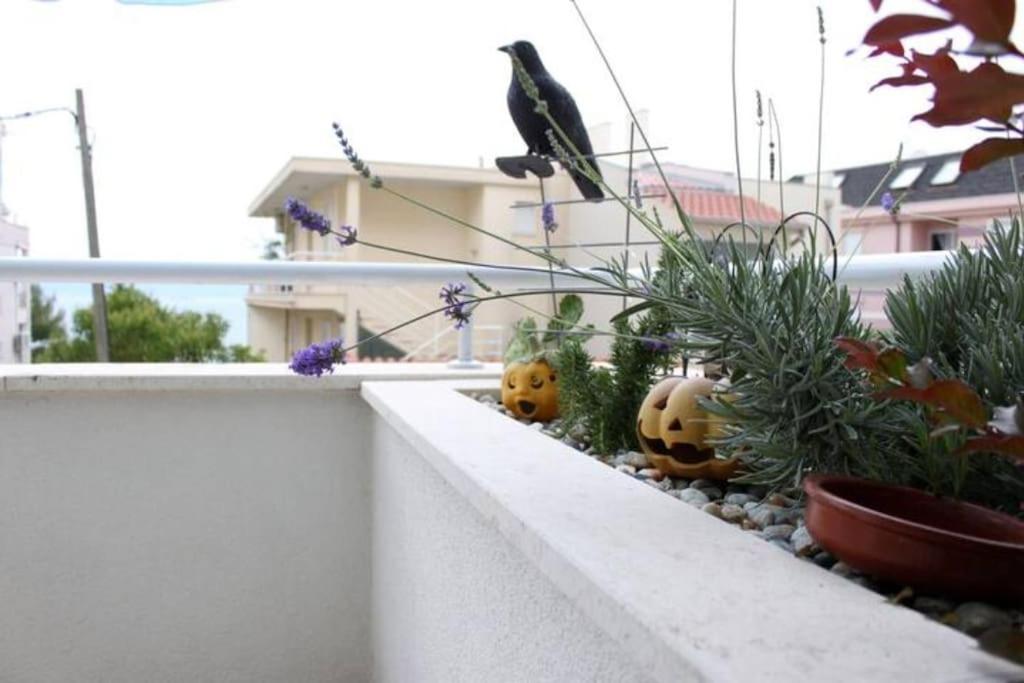 Maia'S Beach Studio Znjan Split Kültér fotó